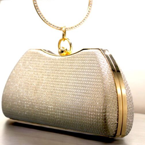 Fancy glitter clutch for women's