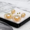 Sun Face Beautiful Golden/Silver Earring With white Pearl